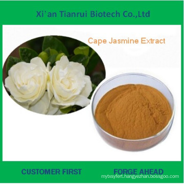 Supply Cape Jasmine Fruit Extract